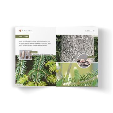 Bestimmungsbuch Bäume und Tiere