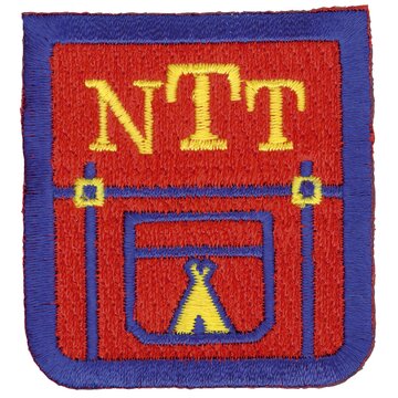 NTT Abzeichen